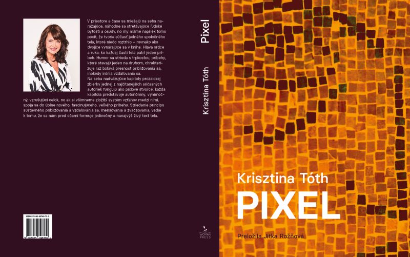 Krisztina Tóth: Pixel - Image 2